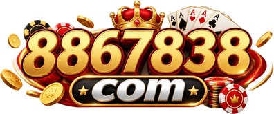 8867838 com